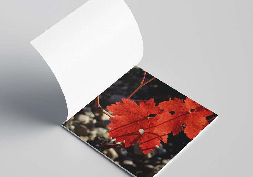 FINCA LA EMPERATRIZ, catálogo 2020.