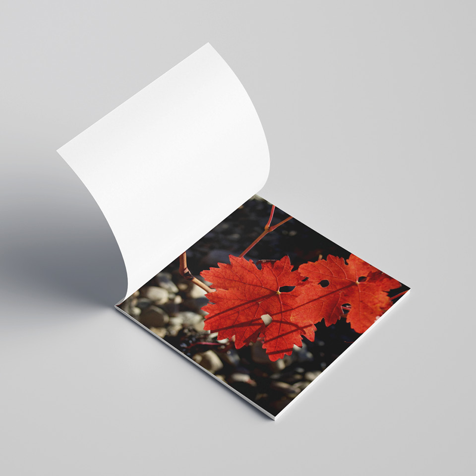 FINCA LA EMPERATRIZ, catálogo 2020.