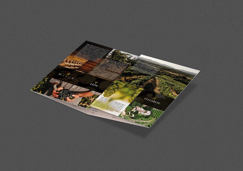 Masaveu Bodegas, catálogos.