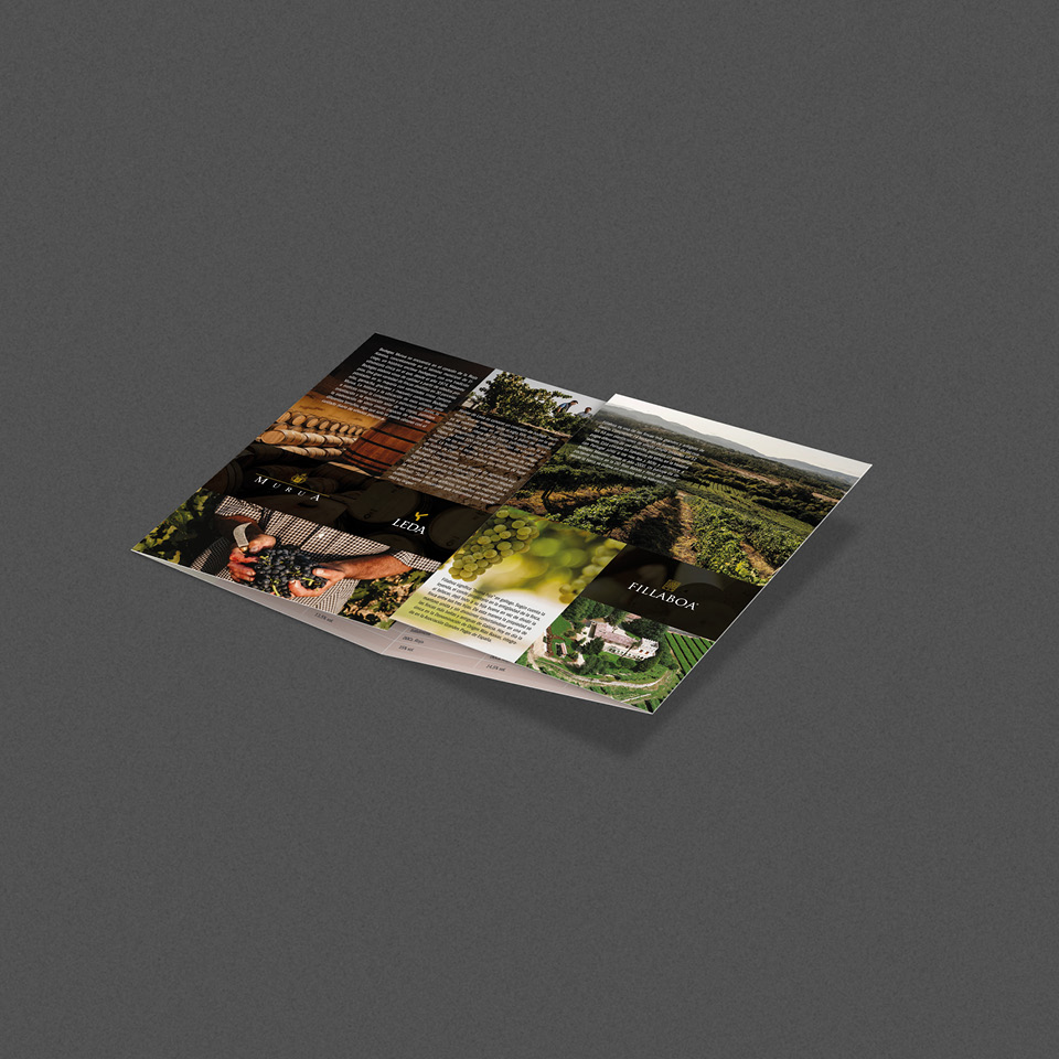 Masaveu Bodegas, catálogos.